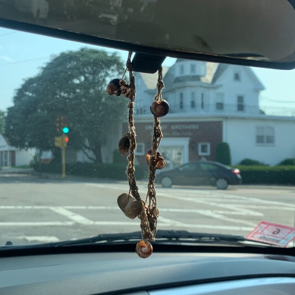 seashell necklace